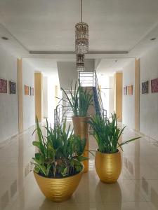 three large pots with plants in them on a floor at aresidencia sei putih in Medan