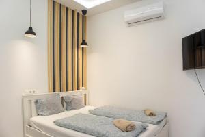 Rózsa Apartments - Jeremy 1064 Budapest, 111 Rózsa utca kép - 2