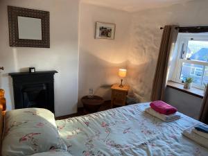 Schlafzimmer mit einem Bett, einem Kamin und einem Fenster in der Unterkunft Forest Hill View in Cinderford