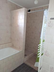 Kúpeľňa v ubytovaní Zdeňka - apartmán