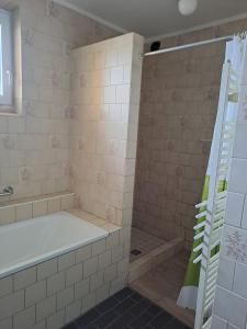 a bathroom with a tub and a shower at Zdeňka in Vracov