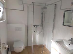 een badkamer met een douche, een toilet en een wastafel bij Ferienwohnung _Solaris_ in Heringsdorf