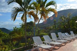 een rij witte stoelen en een palmboom bij Finca Hotel Villaruth in Apulo