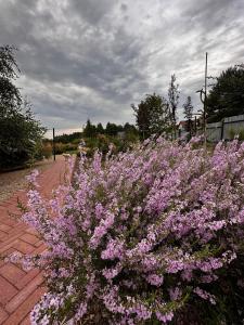 Zahrada ubytování Botanica