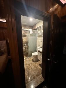 a bathroom with a toilet and a glass door at Ayder Hasimoglu Hotel in Ayder Yaylasi