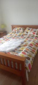 a bed with a colorful comforter on top of it at 1 Cartrun Breac N39D7H6 Opposite Longford Rugby Club - See the Yellow Door in Longford