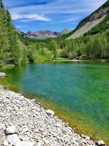 吉洛梅Chambre aux Gorges de Daluis的河里一个蓝色的绿色大池