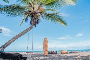 een surfplank op het strand naast een palmboom bij El Deseo Serendipity Tortuguero in Tortuguero