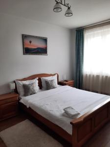 a bedroom with a large bed and a window at Apartament Panoramic Toplița in Topliţa