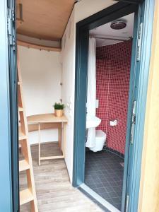 łazienka z toaletą i umywalką w obiekcie Tiny House Ückeritz w mieście Ückeritz