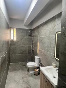 La salle de bains est pourvue de toilettes et d'un lavabo. dans l'établissement Twins Apartment, à Përmet