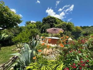 einen Garten mit Sonnenschirm und ein paar Blumen in der Unterkunft The Queen in Giannetti