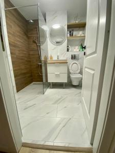 a bathroom with a shower and a toilet at Alin's home in Ocna-Mureşului