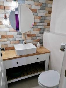 a bathroom with a sink and a mirror and a toilet at Alin's home in Ocna-Mureşului