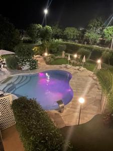 a large swimming pool at night with lights at Punto Verde in Noci