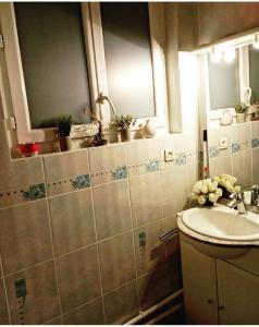 ein Bad mit einem Waschbecken und einem Spiegel in der Unterkunft Chic 2 pièces, épuré & pragmatic à 5' de Paris in Ivry-sur-Seine