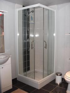 La salle de bains est pourvue d'une douche en verre et de toilettes. dans l'établissement Gites les Lignons, à Champniers