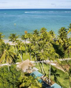 an aerial view of a beach with palm trees and the ocean at Zai Patacho in Pôrto de Pedras