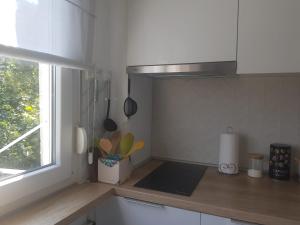 Kuchyň nebo kuchyňský kout v ubytování Emily apartment