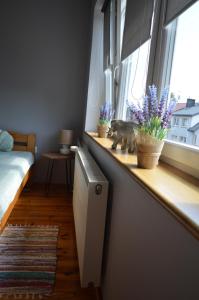 una habitación con una ventana con una estatua de un gato en un mostrador en u Piotra, en Ustka