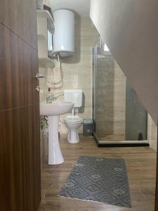 a bathroom with a toilet and a sink and a shower at Villa Giti in Boge