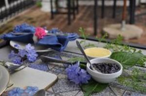 Zahrada ubytování Plumbago Guest House
