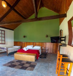 a bedroom with a bed and a green wall at Pousada Barriga da Lua in Serra do Cipo