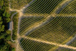 an aerial view of a farm field with a road at Valverde Santar Hotel & SPA - Relais & Châteaux in Santar