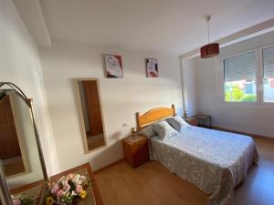 a bedroom with a bed and a dresser and a mirror at Lar dos Galos in Bueu