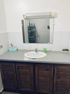 un bancone del bagno con lavandino e specchio di Central Appart a Mamoudzou