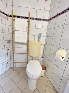 a bathroom with a toilet with a towel rack at Le Cocon du Vignoble - Free Wifi - Netflix in Turckheim