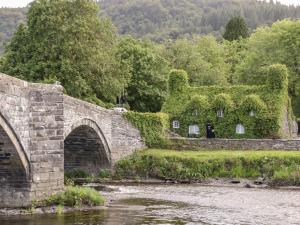 an old stone bridge with ivy on it next to a river at Hand Apartment in Llanrwst