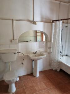a bathroom with a sink and a toilet and a tub at Elpitiya Walauwa Heritage Home in Gampola