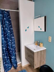 bagno con lavandino e specchio di Dodo 3 appartement hyper centre a Huy