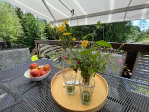 Zahrada ubytování Apartmány pod Rališkou