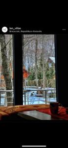 una ventana con vistas a un patio cubierto de nieve en Lonvilla’s Brezovicë, en Štrpce