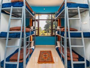 - une chambre avec lits superposés dans une maison dans l'établissement The Bunker Bir, à Bir