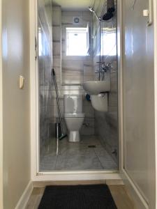 a bathroom with a toilet and a sink at Guest House Bagrationi in Batumi