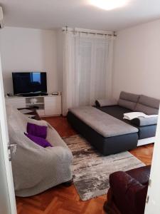 Televízia a/alebo spoločenská miestnosť v ubytovaní Apartment Lukic
