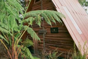 Garður fyrir utan Glamping con jacuzzi cerca a Medellin