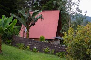 Garður fyrir utan Glamping con jacuzzi cerca a Medellin