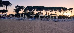 a group of chairs and umbrellas on a beach at A casa di Milena in Porto Recanati