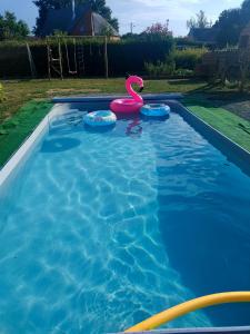 a swimming pool with a pink swan in the water at Maison au calme chez Djé et Lucie in La Chapelle-dʼAligné