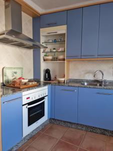 eine Küche mit blauen Schränken und einem Waschbecken in der Unterkunft O Parrandeiro in Padrón