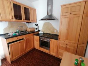 a kitchen with wooden cabinets and a stove top oven at Haus-Wolter in Goslar