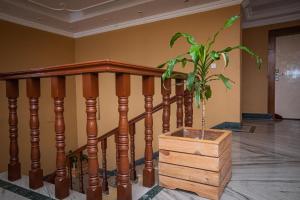 Foto dalla galleria di Hotel Crown Himalayas a Pokhara