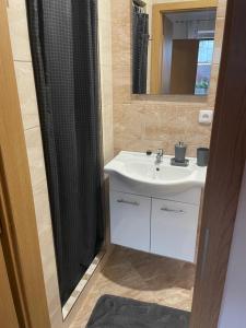 bagno con lavandino e doccia con specchio di Apartmán Pohoda a Břeclav