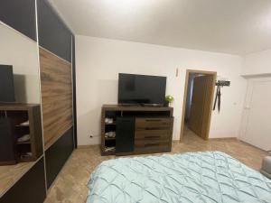 TV a/nebo společenská místnost v ubytování Apartmán Pohoda