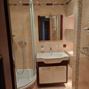 W łazience znajduje się umywalka i prysznic. w obiekcie Komfortowe mieszkanie w Busku Zdroju