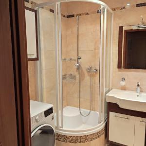 Komfortowe mieszkanie في بوسكو ازدروي: حمام مع دش وغسالة ملابس